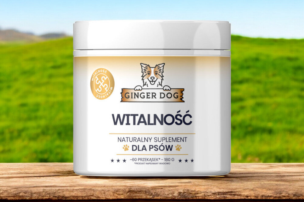 Suplement dla psa GINGER DOG Witalność 180 g opakowanie na natralnym drewnianym blacie na tle łąki