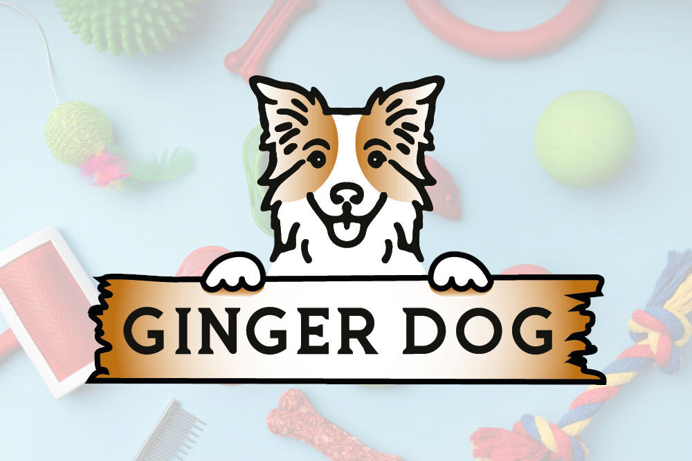 Suplement dla psa GINGER DOG Witalność 180 g logo marki na kolorwym tle z zabawkami i przysmakami
