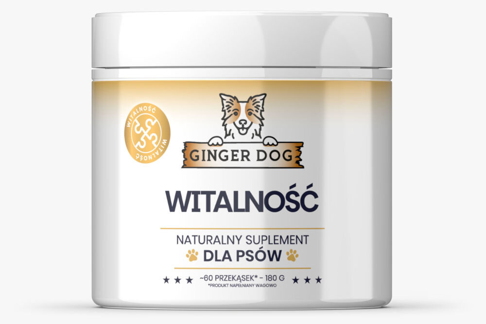 Suplement dla psa GINGER DOG Witalność 180 g opakowanie