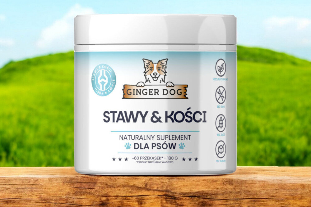 Suplement dla psa GINGER DOG Stawy i Kości 180 g opakowanie na naturalnym drewnianym blacie na tle łąki
