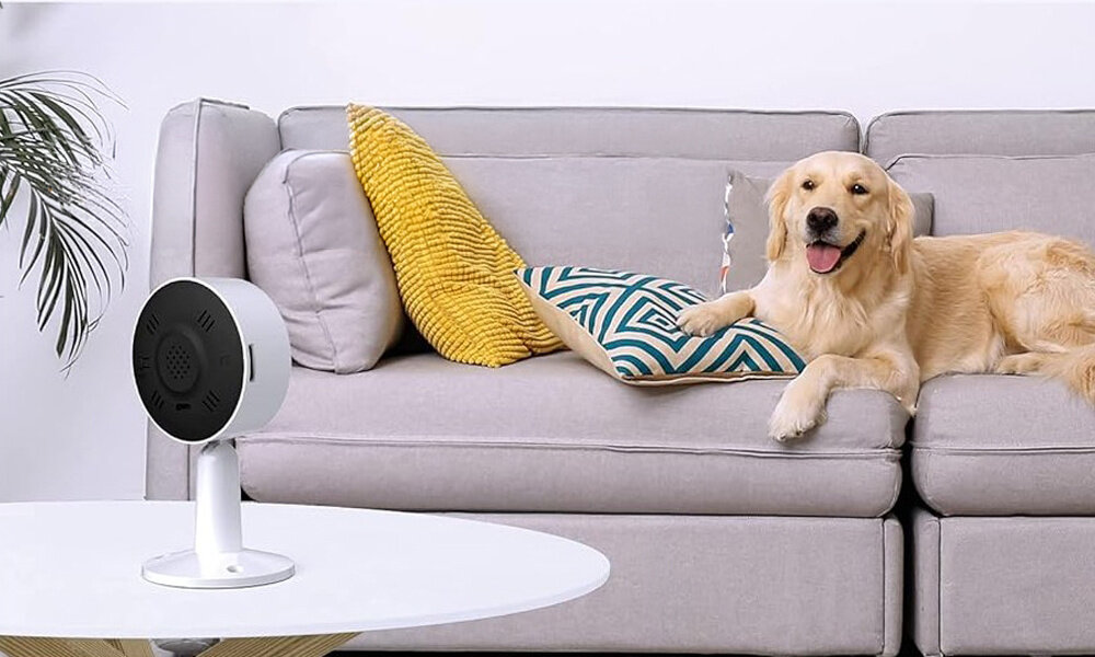 Na okrągłym stoliku stoi kamera skierowana tyłem. W tle na kanapie leży pies rasy golden retriever.