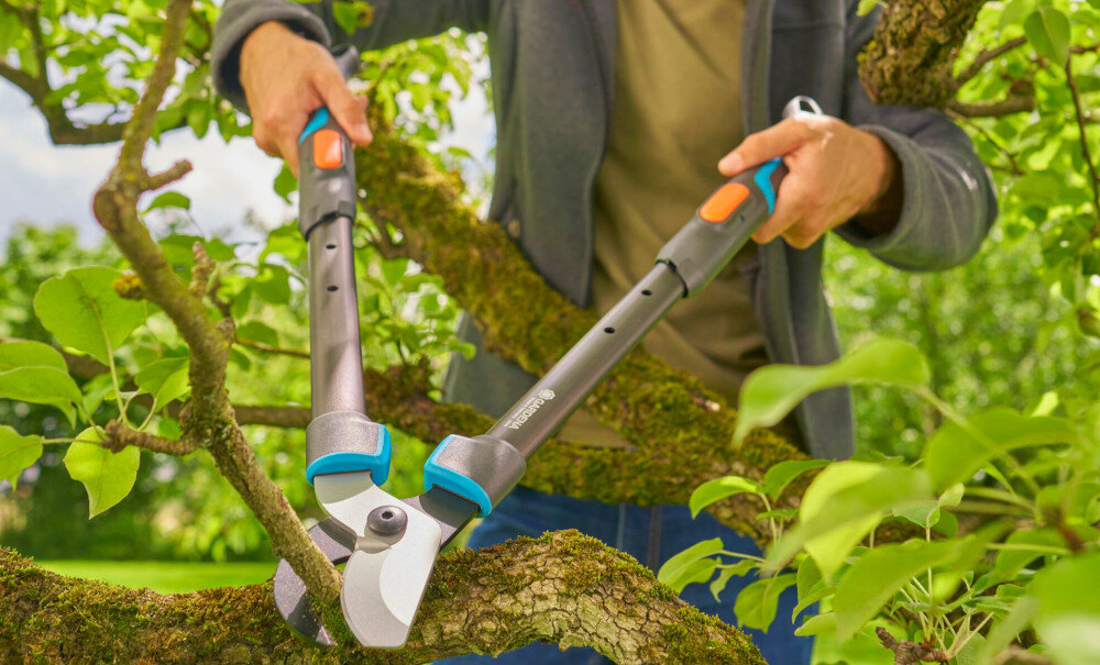 Nożyce do gałęzi GARDENA TeleCut Pro L 12041-20 ogród krzewy drzewa osoba ścina gałęzie nożyce wygodne przycinanie gałęzi precyzyjne cięcie