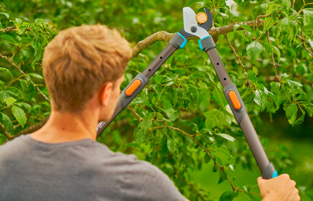 Nożyce do gałęzi GARDENA TeleCut Pro L 12041-20 ogród drzewa osoba przycina gałęzie na drzewach cięcie boczne dwa ostrza przesuwają się obok siebie gładka powierzchnia cięcia sprzyja naturalnemu gojeniu się roślin