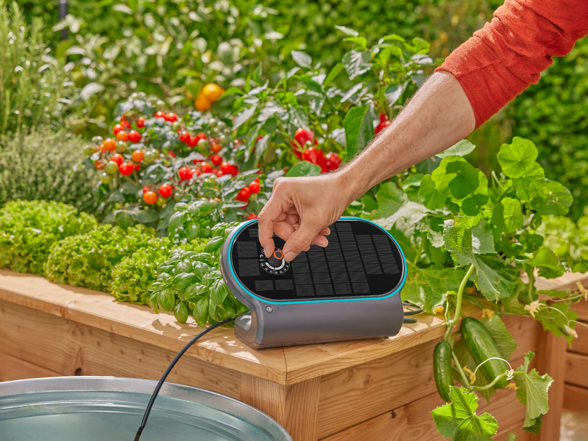 Zestaw do nawadniania GARDENA AquaBloom 13330-20, plany, dopasowanie, częstotliwość, dawki, w tle ogród warzywny, dłoń mężczyzny reguluje program na panelu zestawu do nawadniania