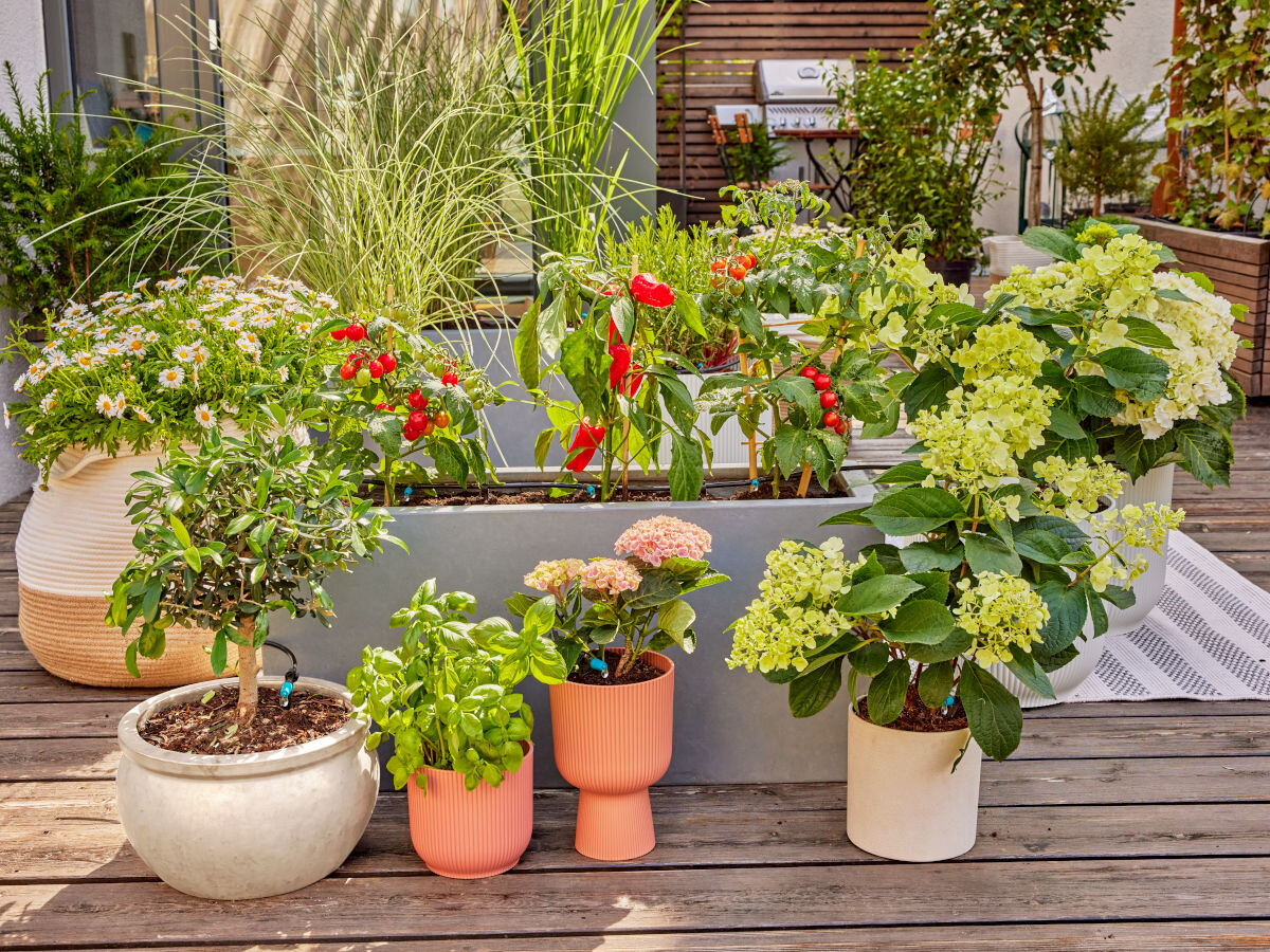 Zestaw do nawadniania GARDENA Micro-Drip-System 13400-20 (15 m), podlewanie, woda, rośliny, system, taras w tle donice z kwiatami oraz zestaw do nawadniania
