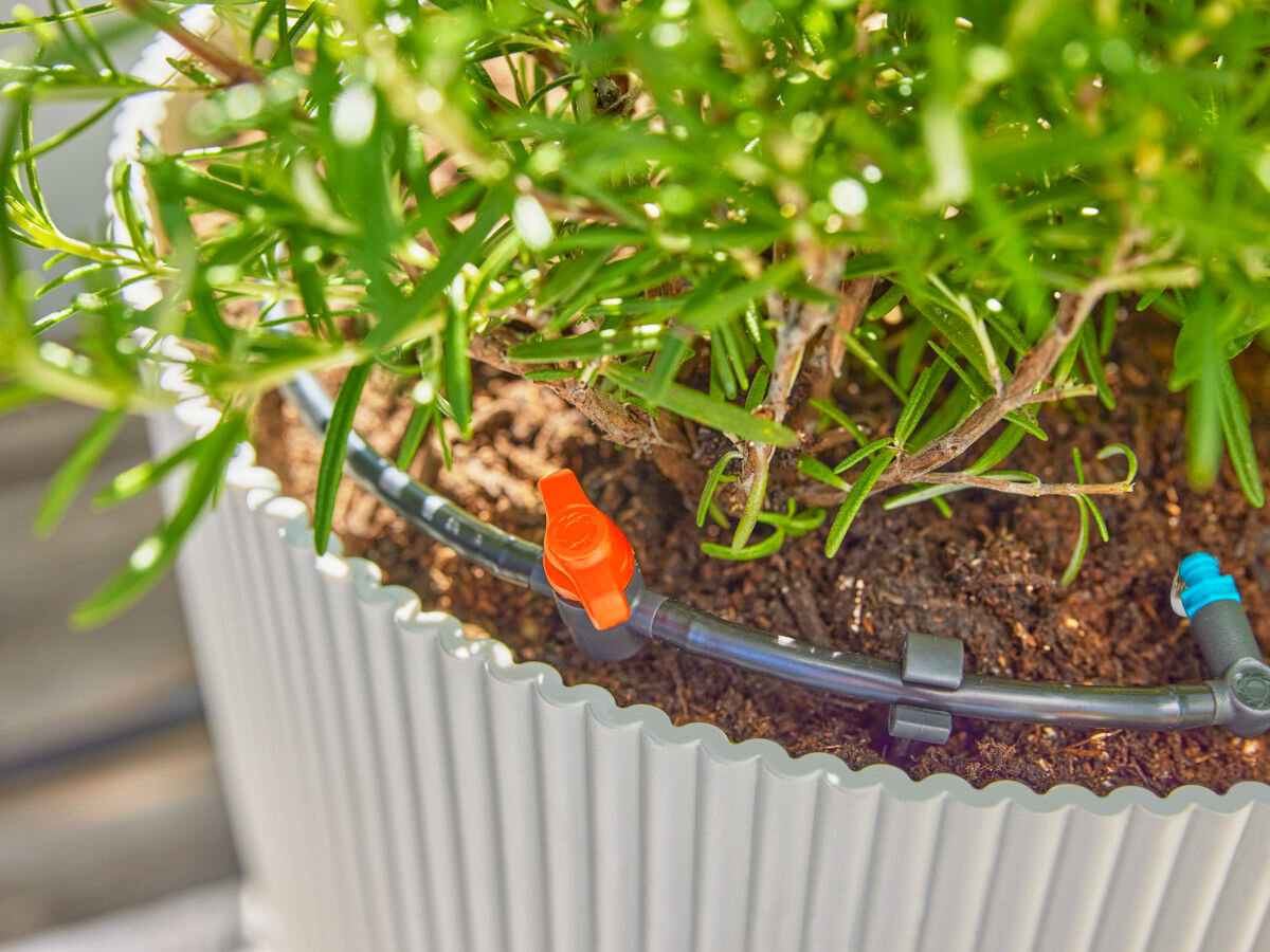 Zestaw do nawadniania GARDENA Micro-Drip-System 13400-20 (15 m), Quick & Easy, Easy & Flexible, złączki, elastycznie, zbliżenie na kroplownik zamontowany do jednej z donic z warzywami