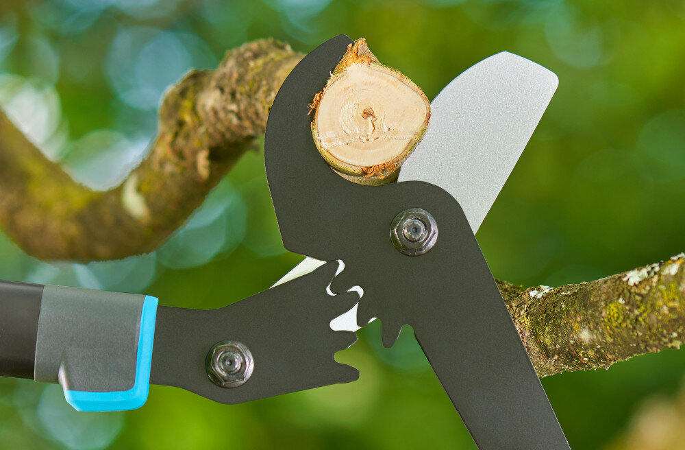 Nożyce do gałęzi GARDENA EnergyCut Pro L 12051-20 ogród drzewa gałęzie zbliżenie na ostrza ostrza z wysokiej jakości stali precyzyjnie szlifowane pokryte powłoką PowerCoating cięcie gładkie i precyzyjne powierzchnia gałęzi pozostaje czysta i mniej podatna na choroby dwa ostrza przesuwające się obok