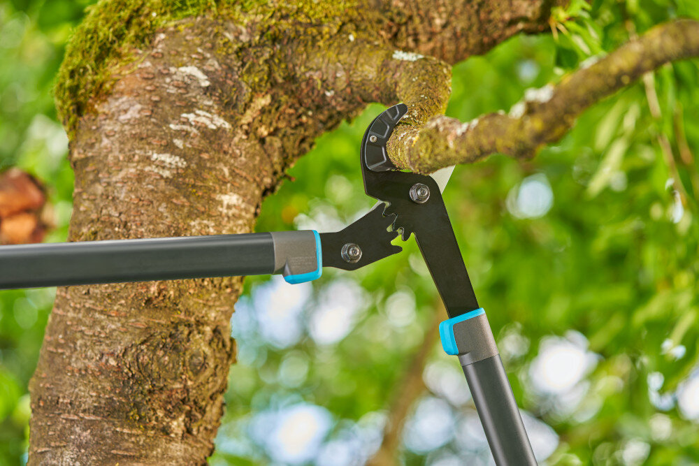 Nożyce do gałęzi GARDENA EnergyCut Pro L 12052-20 ogród drzewa gałęzie zbliżenie na ostrza ostrza do wygodnego przycinania świeżych gałęzi i krzewów średnica cięcia wynosząca do 50 mm szybkie i dokładne rezultaty konstrukcja oparta na dźwigni