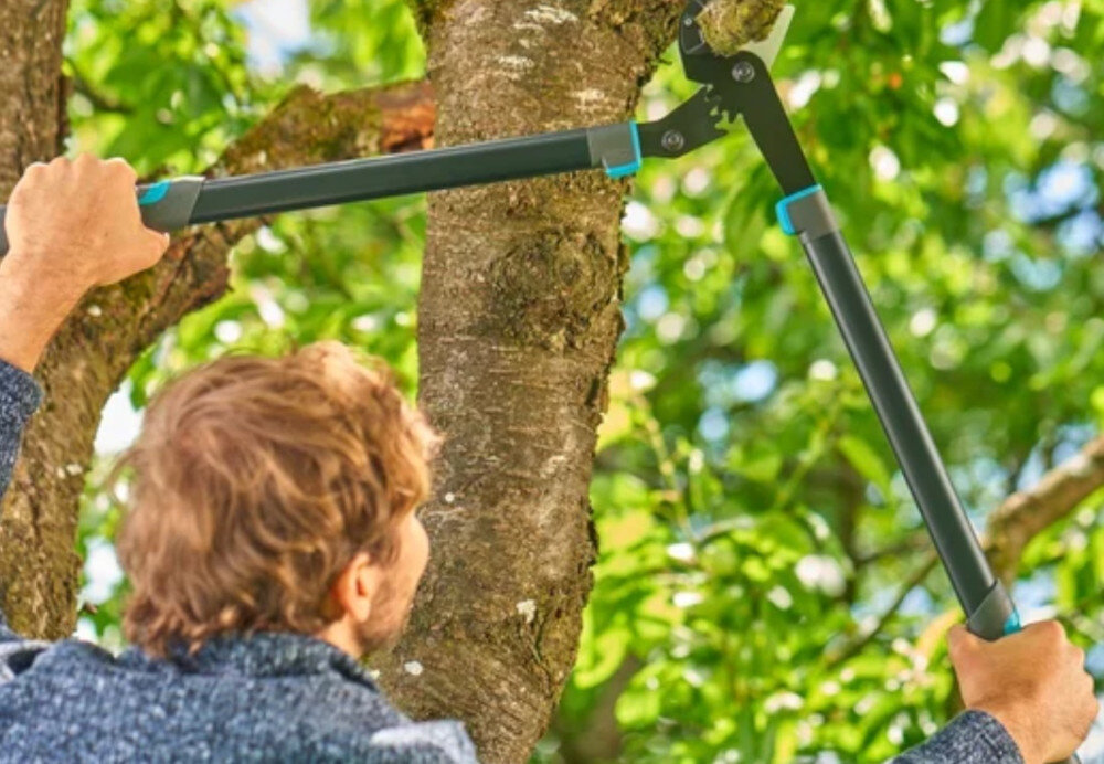Nożyce do gałęzi GARDENA EnergyCut Pro L 12052-20 ogród drzewa osoba przycina gałęzie na drzewie długość 751 mm odpowiedni zasięg przy pracy wśród gęstych gałęzi dwuostrzowa konstrukcja ergonomiczny uchwyt lekka aluminiowa budowa