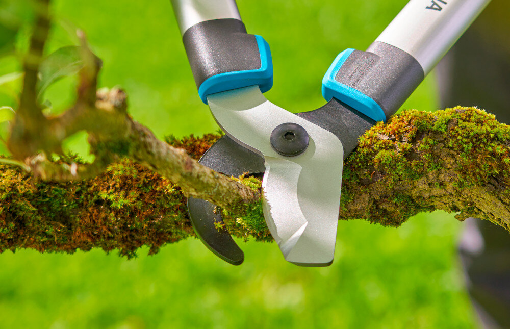Nożyce do gałęzi GARDENA Easycut L 12031-20 ogród drzewa gałęzie zbliżenie na ostrza ostrza do wygodnego przycinania świeżych gałęzi i krzewów średnica cięcia wynosząca do 45 mm szybkie i dokładne rezultaty konstrukcja oparta na dźwigni
