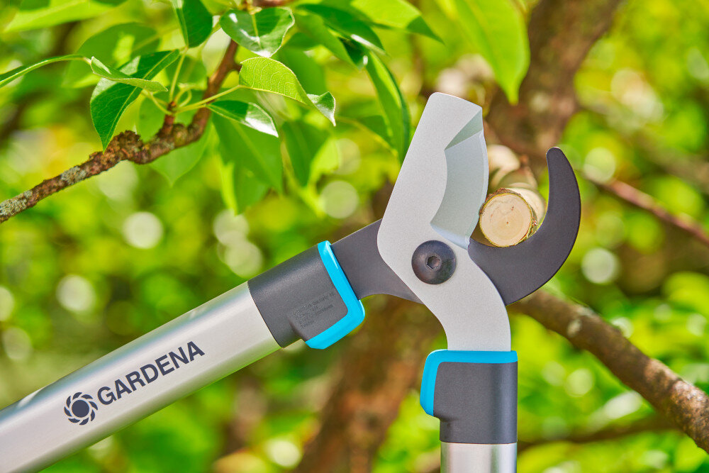 Nożyce do gałęzi GARDENA Easycut L 12031-20 ogród drzewa gałęzie zbliżenie na ostrza ostrza z wysokiej jakości stali precyzyjnie szlifowane pokryte powłoką PowerCoating cięcie gładkie i precyzyjne powierzchnia gałęzi pozostaje czysta i mniej podatna na choroby dwa ostrza przesuwające się obok