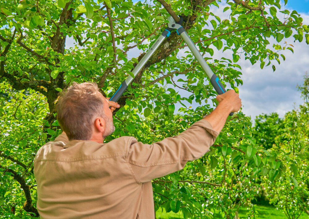Nożyce do gałęzi GARDENA Easycut L 12031-20 ogród drzewa osoba przycina gałęzie na drzewie długość 680 mm odpowiedni zasięg przy pracy wśród gęstych gałęzi dwuostrzowa konstrukcja uchwyt ErgoTec lekka aluminiowa budowa