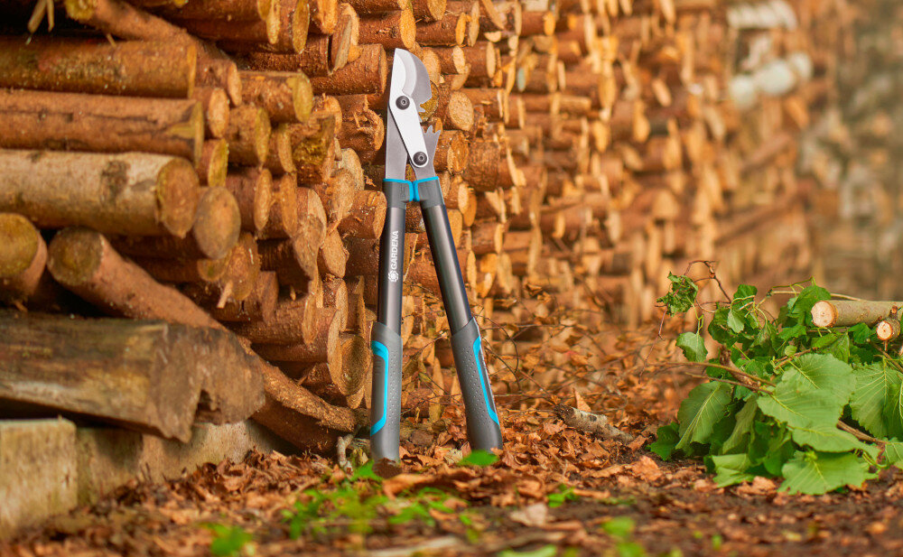 Nożyce do gałęzi GARDENA EnergyCut Pro S 12050-20 ogród las pocięte drzewo o pniaki drzew stoją oparte nożyce wygodne przycinanie gałęzi precyzyjne cięcie