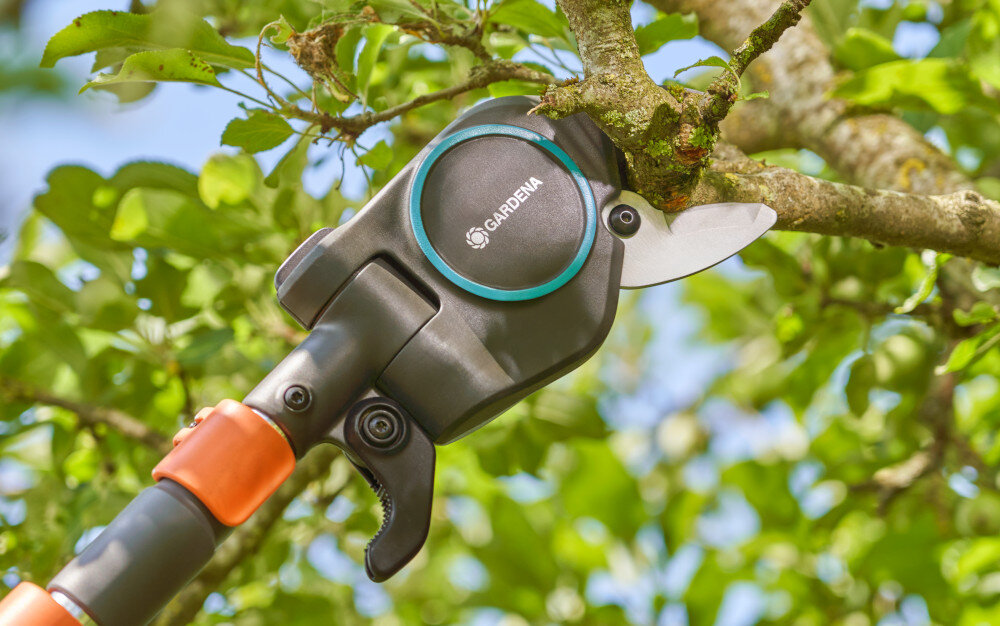 Sekator teleskopowy GARDENA StarCut PRO L 12081-20 ogród drzewa zbliżenie na sekator przycinający gałąź maksymalna średnica gałęzi do 32 mm wszechstronne narzędzie oszczędza czas i miejsce w schowku