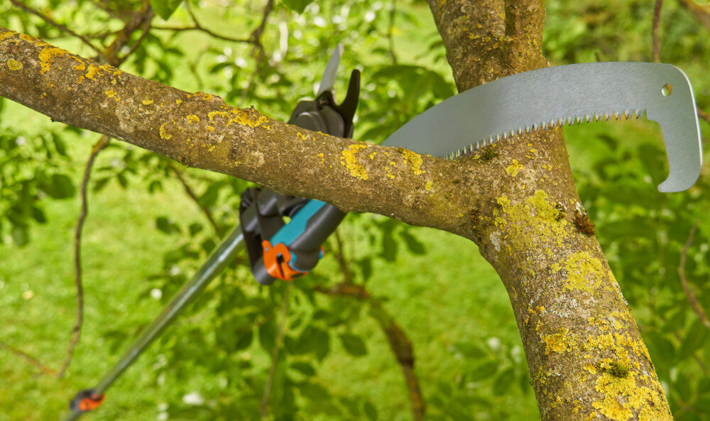 Piła ogrodowa GARDENA StarCut Pro L 12083-20 ogród drzewa zbliżenie na konar piła zahaczona o gałąź brzeszczot z wysokiej jakości stali precyzyjne uzębienie z potrójnym szlifem czyste cięcia