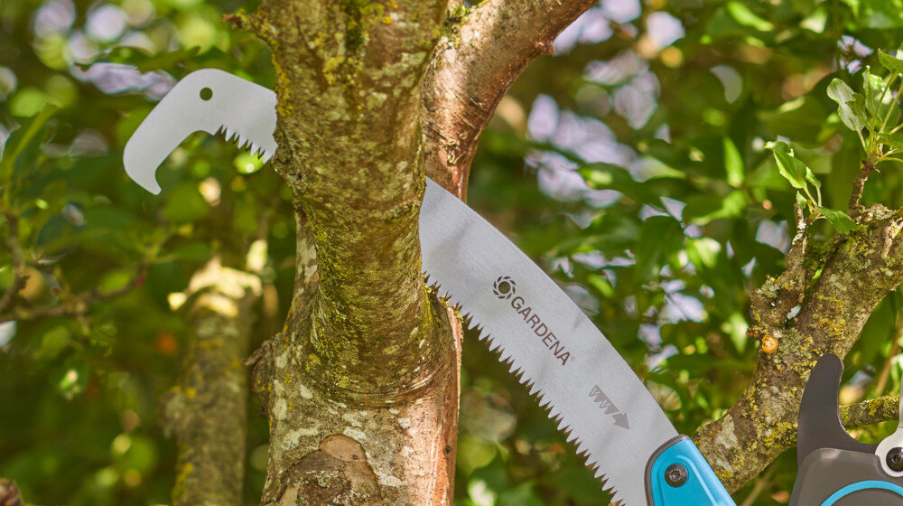 Piła ogrodowa GARDENA StarCut Pro L 12083-20 ogród drzewa zbliżenie na konar piła zahaczona o gałąź hak na końcu brzeszczotu zabezpiecza piłę przed ześlizgnięciem się z gałęzi podczas cięcia bezpieczeństwo kontrola nad narzędziem ułatwia precyzyjne cięcie