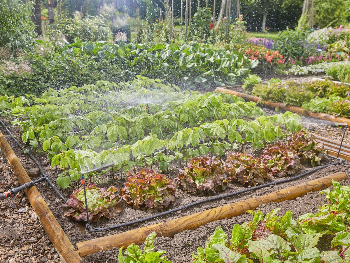 Zestaw do nawadniania GARDENA Micro-Drip-System 13450-20, podlewanie, woda, ogród, grządki, ogród i warzywniak wraz z zestawem do nawadniania