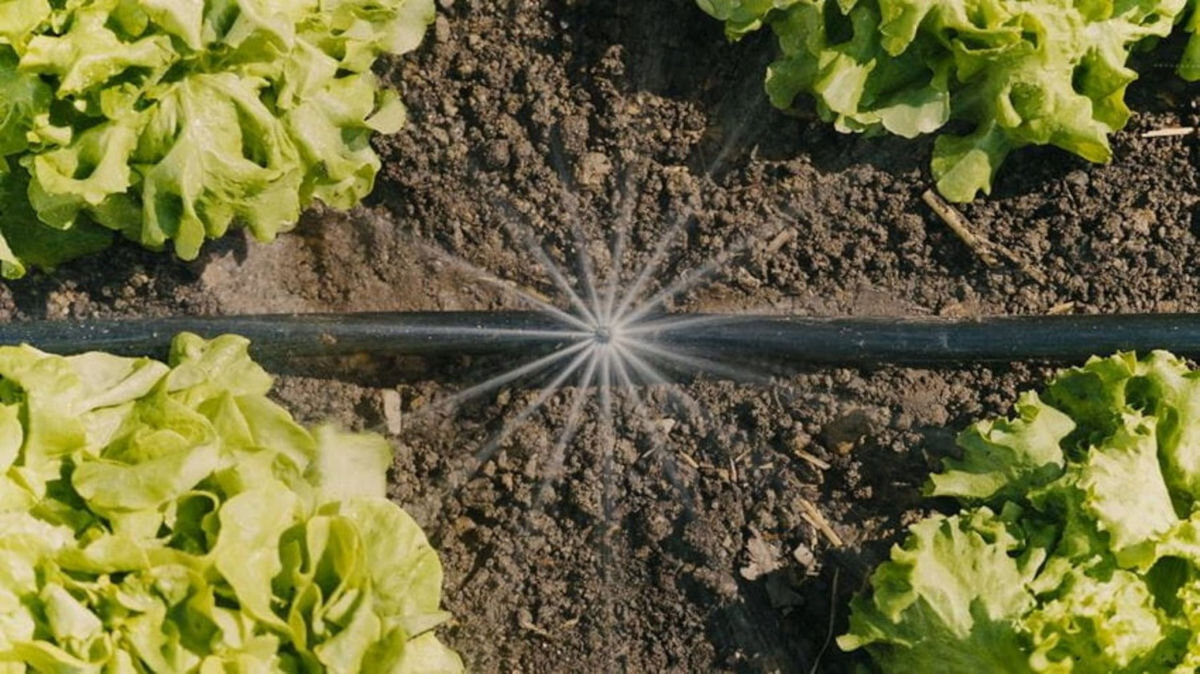 Zestaw do nawadniania GARDENA Micro-Drip-System 13450-20, technologia, kran, zestaw, dopasowanie, linia kroplująca podlewa grządki