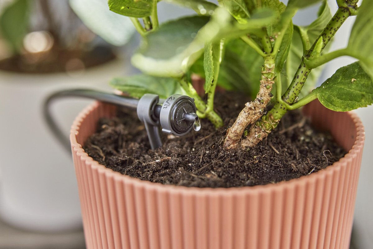Zestaw do nawadniania GARDENA Micro-Drip-System 13401-20 (20 m), reduktor, linia, przewody, technologia, zbliżenie na donicę z wbitą linią kroplującą do niej