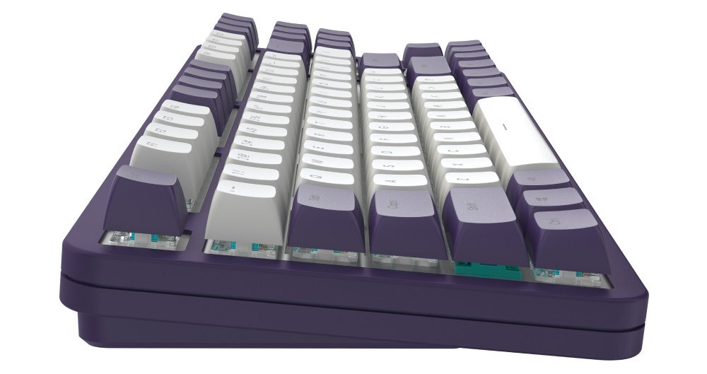 DARK PROJECT Alu Violet dodatkowe klawisze, sprężyny i przełączniki Narzędzie 2 w 1 wkładki i śruba - klawiatura od boku na białym tle