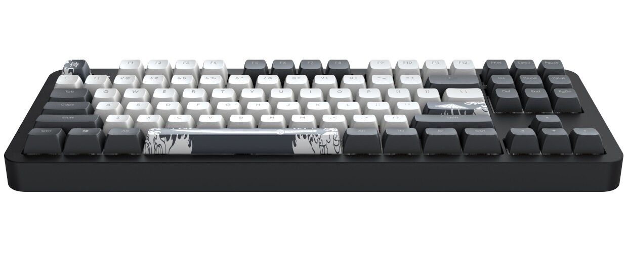DARK PROJECT Alu Bushido Anti-Ghosting oraz N-Key Rollover skomplikowanych kombinacji klawiszy i makr - klawiatura od przodu na białym tle