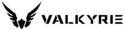 Logo przedstawia stylizowane skrzydła po obu stronach tarczy, a poniżej znajduje się napis \'VALKYRIE\'.