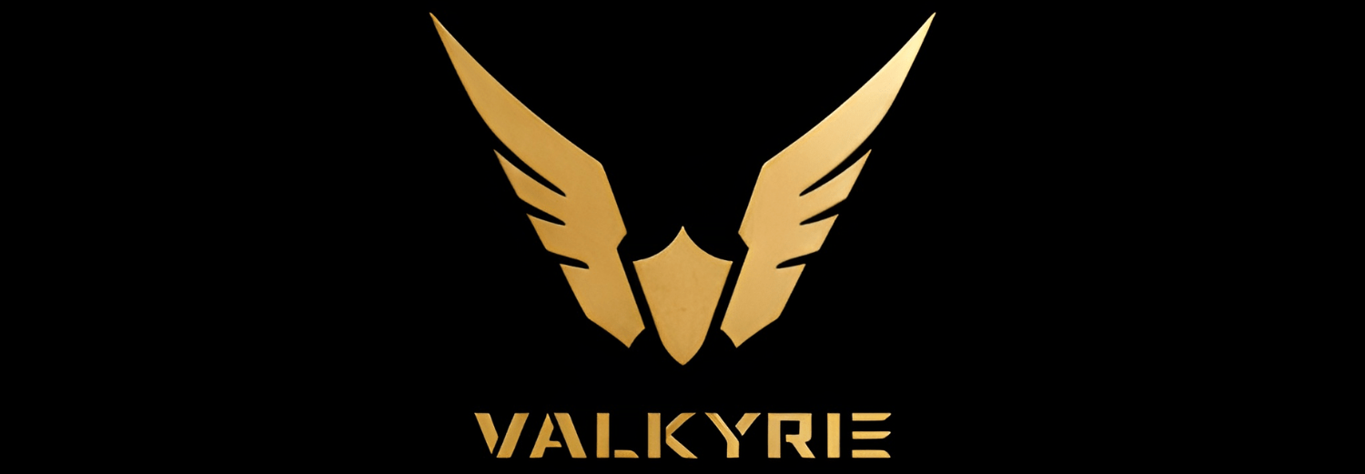 Logo przedstawia złote skrzydła oraz napis \'VALKYRIE\' na czarnym tle.