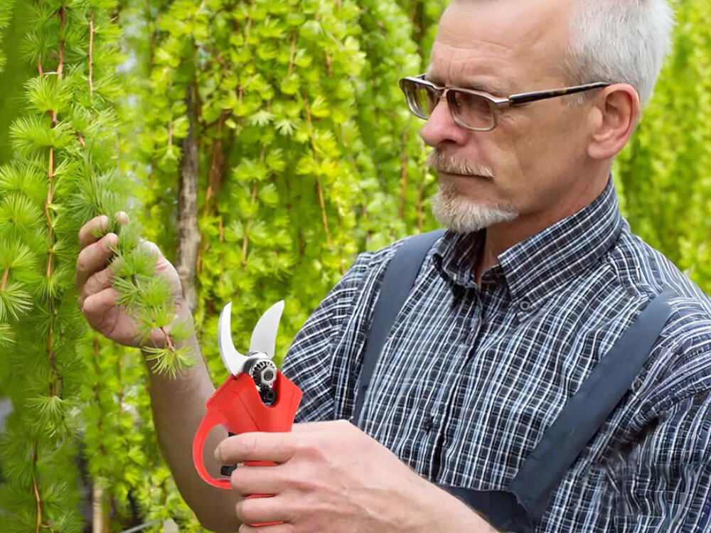 Osoba trzyma akumulatorowy sekator do gałęzi o czerwonym uchwycie, przycinając zieloną gałąź. W tle widoczne są zielone liście drzewa.