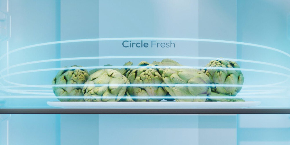 LODÓWKA CANDY ECN2CQTEB186 FRESCO wizualizacja półka napis na tylnej ścianie niebieskie tło warzywa Total No front Circle Fresh zachowanie smaku na długo usuwanie brzydkich zapachów