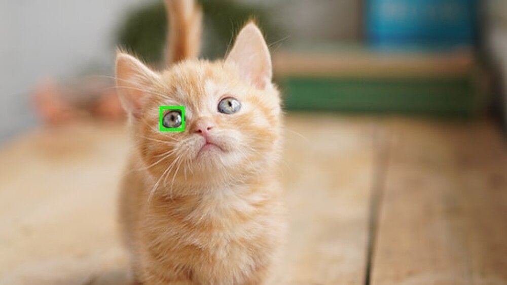 Aparat bezlusterkowy SONY Alpha A6100 Real-time Eye AF wykrywanie oraz śledzenie oczu zwierząt