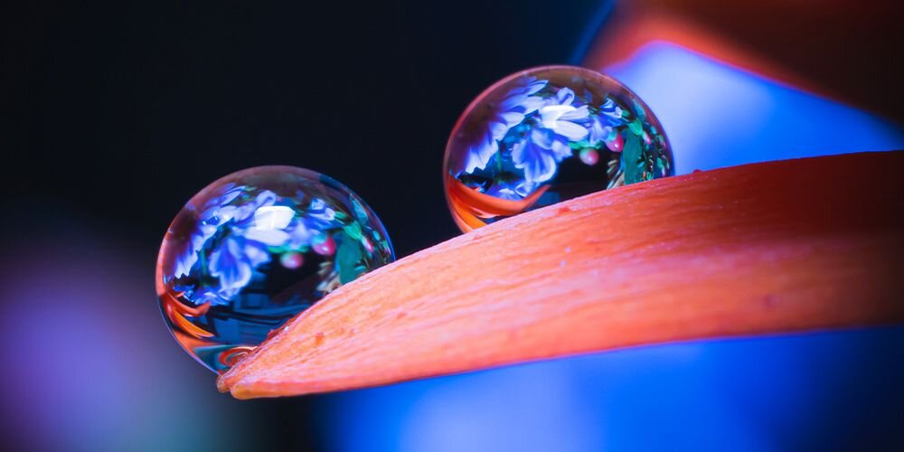 Makrofotografia dwóch przezroczystych kropel wody spoczywających na pomarańczowym płatku kwiatu, w kroplach odbijają się niebieskie i fioletowe światła, tło rozmyte w odcieniach niebieskiego i czerwonego, artystyczne oświetlenie podkreślające przejrzystość i detale powierzchni. - ASUS Splendid