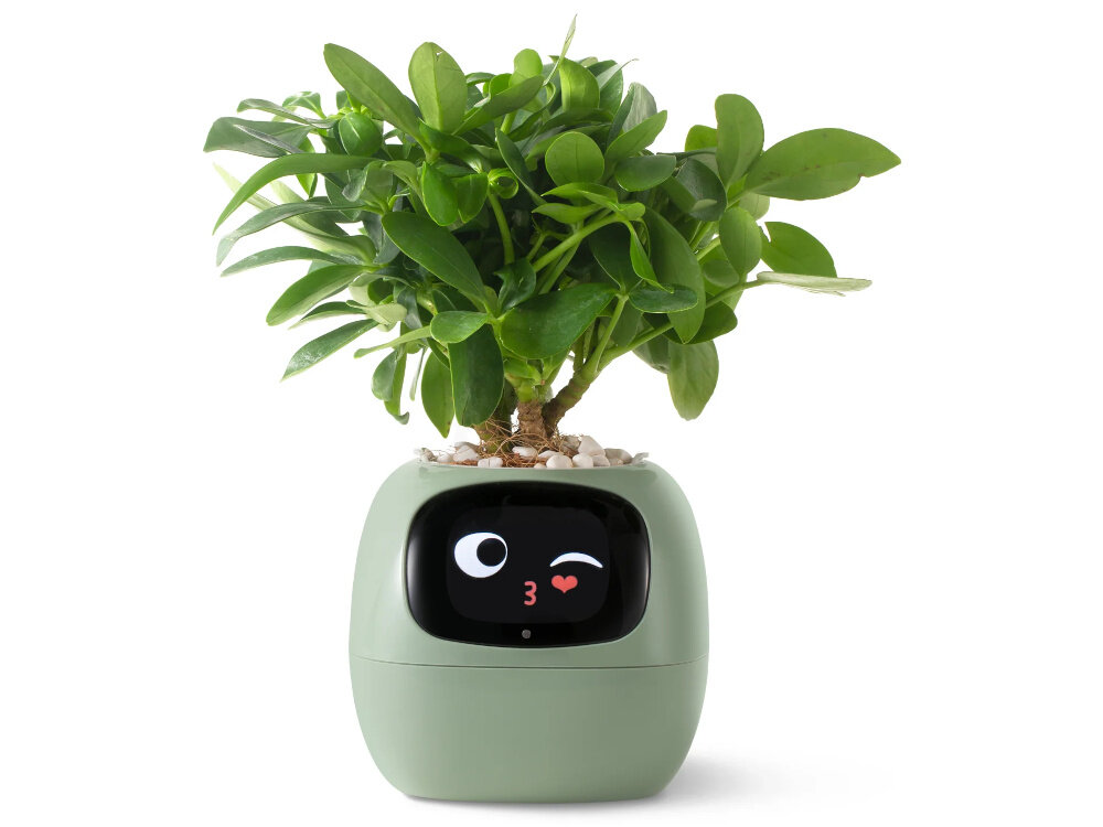 Doniczka inteligentna PLANTSIO IVY Wi-fi Zielony doniczka na białym tle z roślinką w środku do roślin doniczkowych i ziół do dekoracji wnętrz świeży aromat dla miłośników ozdobnych roślin domowego zielnika