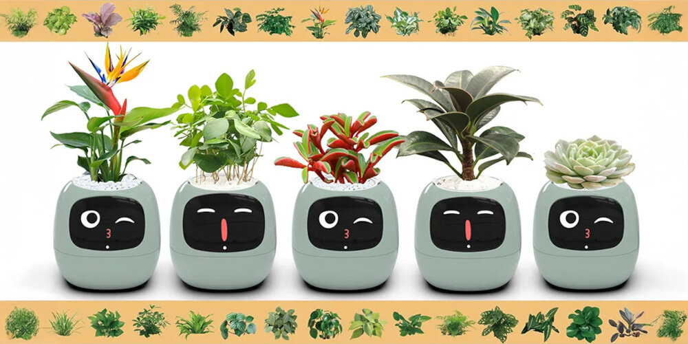 Doniczka inteligentna PLANTSIO IVY Wi-fi Zielony doniczka w pięciu odsłonach z różnymi emotikonami na wyświetlaczu bateria 2000 mAh bez trybu uśpienia działa do 9 godzin przy poborze mocy 0.8 W tryb nocny i inteligentne oszczędzanie energii wydłużenie działania o 2-3 dni wygoda inteligentna technologia w zestawie kabel USB-A/USB-C