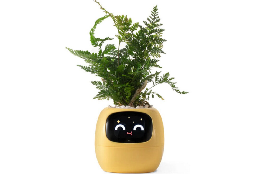 Doniczka inteligentna PLANTSIO IVY Wi-fi Żółty doniczka na białym tle z roślinką w środku do roślin doniczkowych i ziół do dekoracji wnętrz świeży aromat dla miłośników ozdobnych roślin domowego zielnika