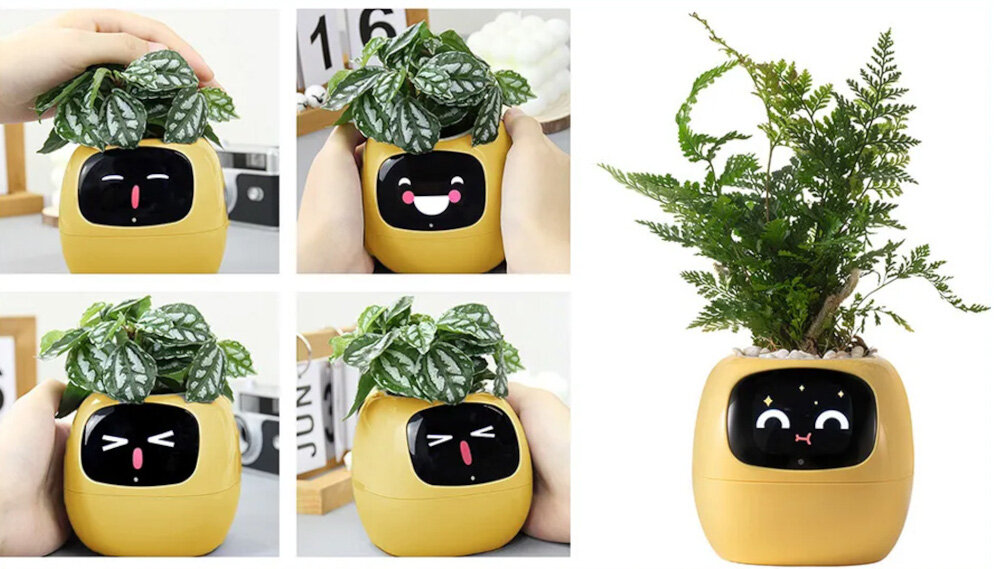 Doniczka inteligentna PLANTSIO IVY Wi-fi Żółty doniczka w pięciu ujęciach z różną reakcją na dotyk reaguje na dotyk i gesty ponad 70 ikon emocji tryby Pomodoro dashboard funkcja zegara łączy technologię z codzienną funkcjonalnością uprawa roślin łatwa bezproblemowa