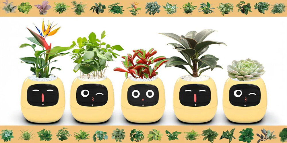 Doniczka inteligentna PLANTSIO IVY Wi-fi Żółty doniczka w pięciu odsłonach z różnymi emotikonami na wyświetlaczu bateria 2000 mAh bez trybu uśpienia działa do 9 godzin przy poborze mocy 0.8 W tryb nocny i inteligentne oszczędzanie energii wydłużenie działania o 2-3 dni wygoda inteligentna technologia w zestawie kabel USB-A/USB-C
