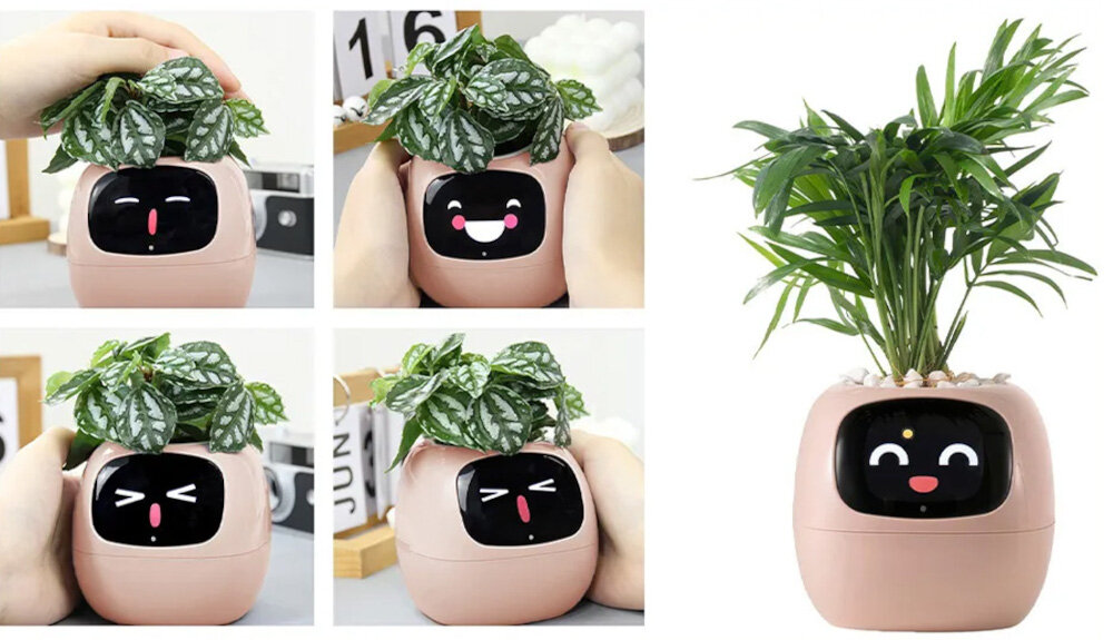 Doniczka inteligentna PLANTSIO IVY Wi-fi Różowy doniczka w pięciu ujęciach z różną reakcją na dotyk reaguje na dotyk i gesty ponad 70 ikon emocji tryby Pomodoro dashboard funkcja zegara łączy technologię z codzienną funkcjonalnością uprawa roślin łatwa bezproblemowa