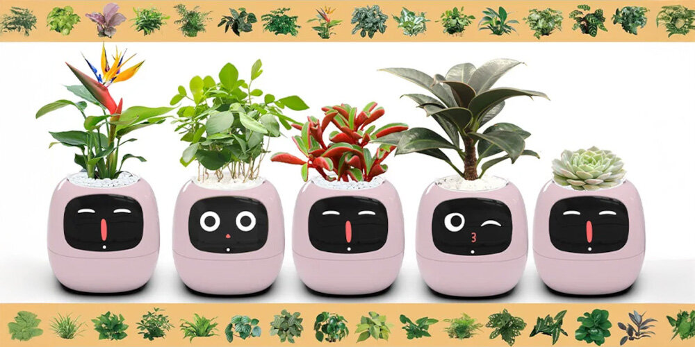 Doniczka inteligentna PLANTSIO IVY Wi-fi Różowy doniczka w pięciu odsłonach z różnymi emotikonami na wyświetlaczu bateria 2000 mAh bez trybu uśpienia działa do 9 godzin przy poborze mocy 0.8 W tryb nocny i inteligentne oszczędzanie energii wydłużenie działania o 2-3 dni wygoda inteligentna technologia w zestawie kabel USB-A/USB-C