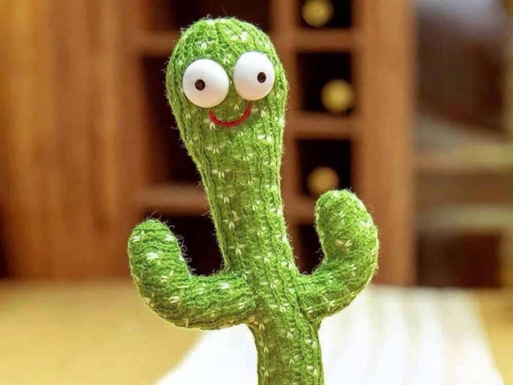 Zabawka interaktywna EXTRALINK Kaktus EX.24244 Bliski kadr na głowę pluszowego kaktusa wykonanego z zielonej dzianiny, z dużymi plastikowymi oczami i wyszywanym uśmiechem.