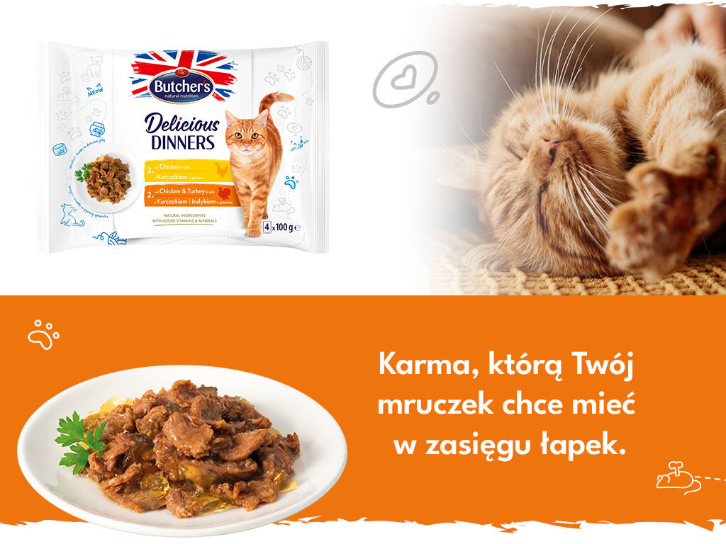 butchers delicious dinners kot grafika druga 4x100g