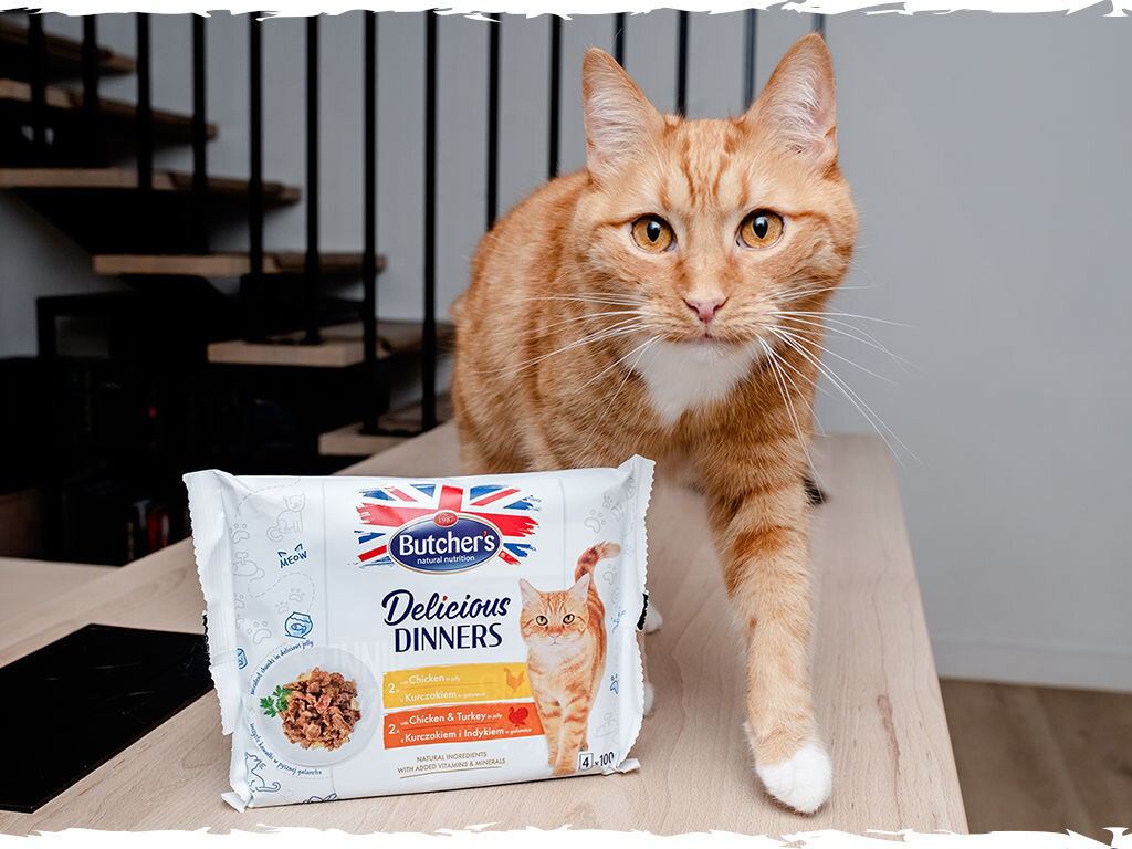 butchers delicious dinners kot grafika czwarta 4x100g