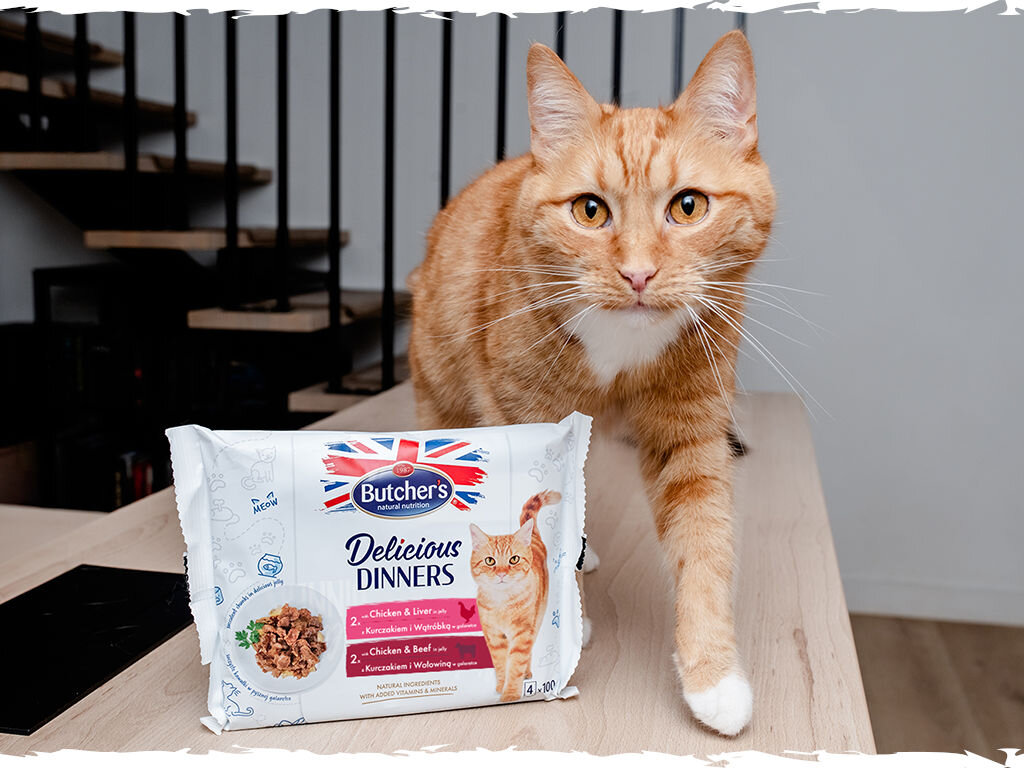 butchers delicious dinners kot grafika czwarta 4x100g