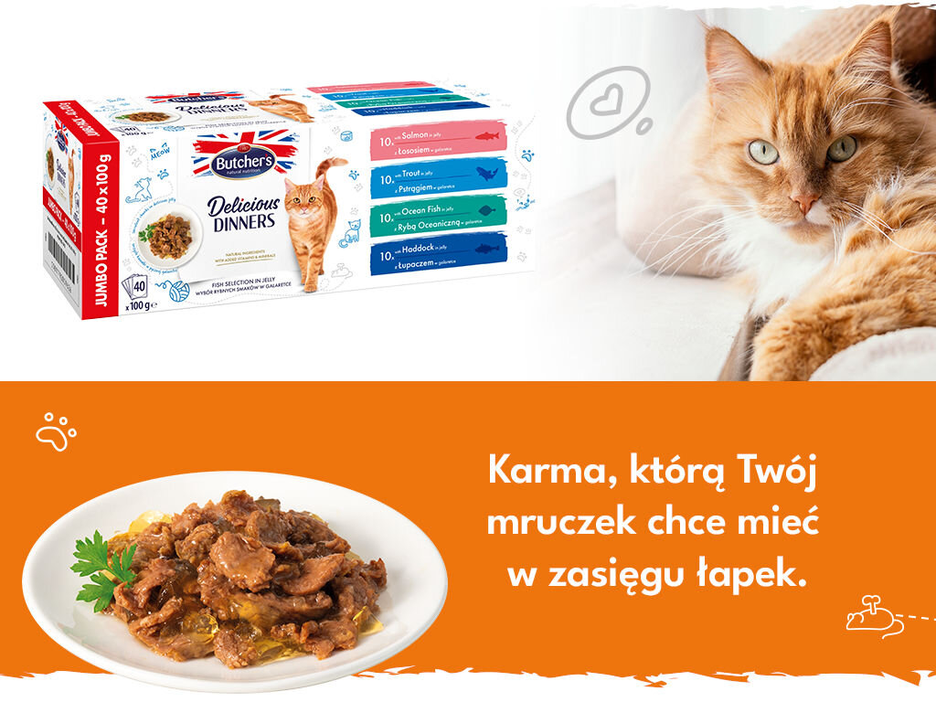 butchers delicious dinners kot grafika druga 40x100g