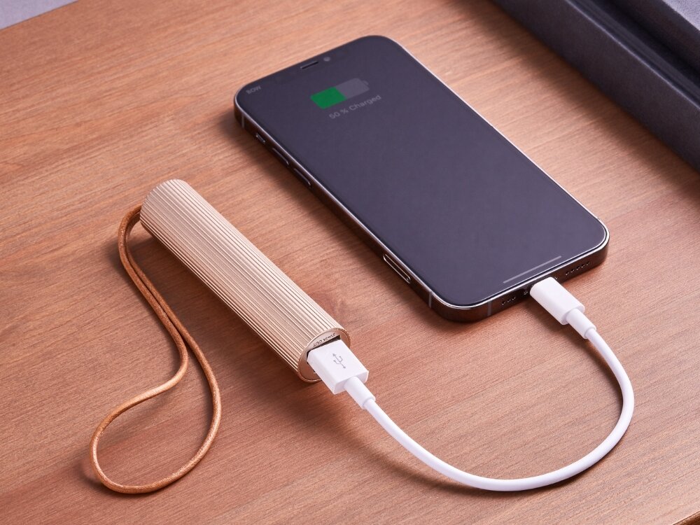 Powerbank LEXON Fine Tube 2 3000mAh 5W Złoty
            powerbank ładujący telefon waga 100 g długość 9 cm średnica 2 cm kompaktowy rozmiary skórzany pasek