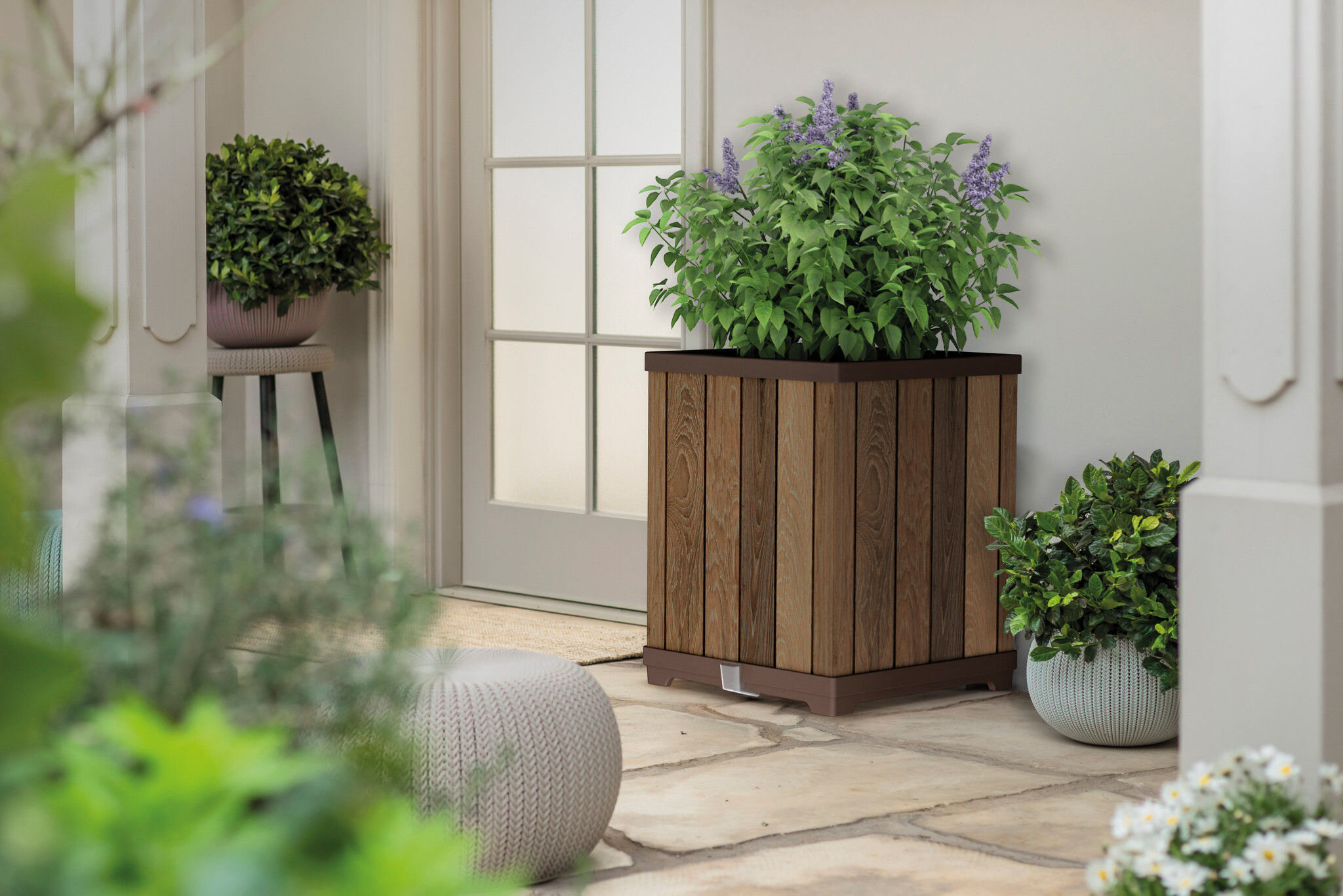 Na obrazie widoczna jest drewnopodobna doniczka z zieloną rośliną o fioletowych kwiatach, ustawiona na tarasie przed drzwiami. Wokół znajdują się inne rośliny w doniczkach oraz pufa.