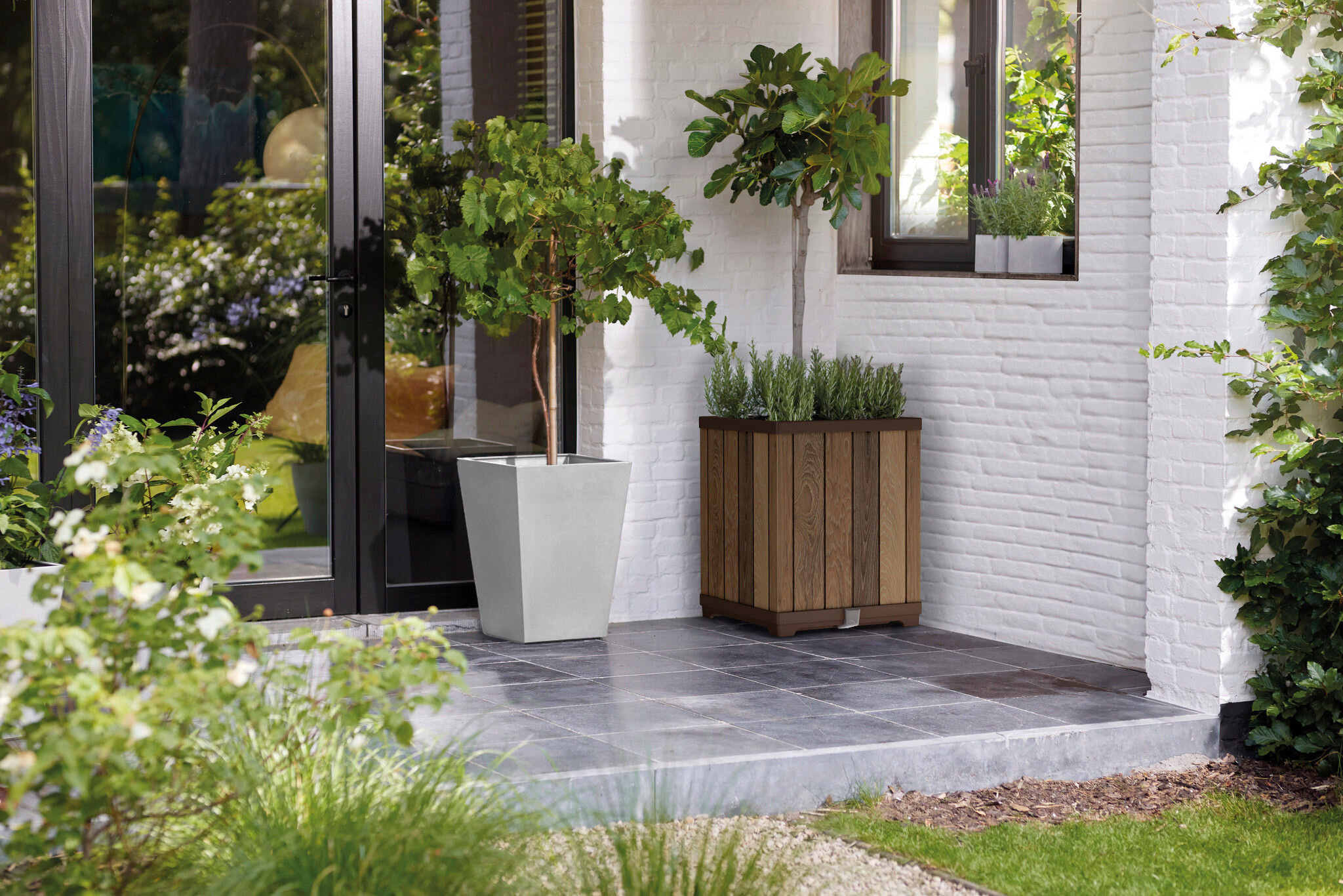 Na obrazie widoczne są dwie doniczki z roślinami, jedna z nich jest drewniana, a druga ma jasny kolor. Doniczki stoją na tarasie wyłożonym płytkami, przy białej ceglanej ścianie z oknem.