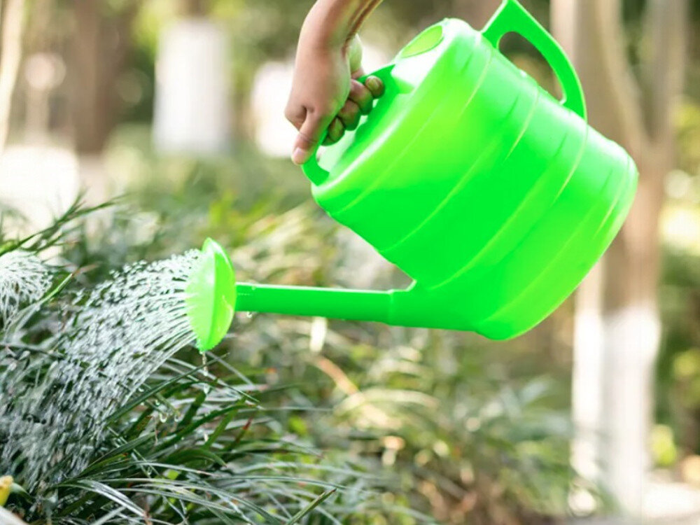 Konewka BLACK FOREST 1599 Zielona 7L, nawadnianie, ogród, woda, rośliny, Dziecko polewa kwiaty zieloną konewką. 
