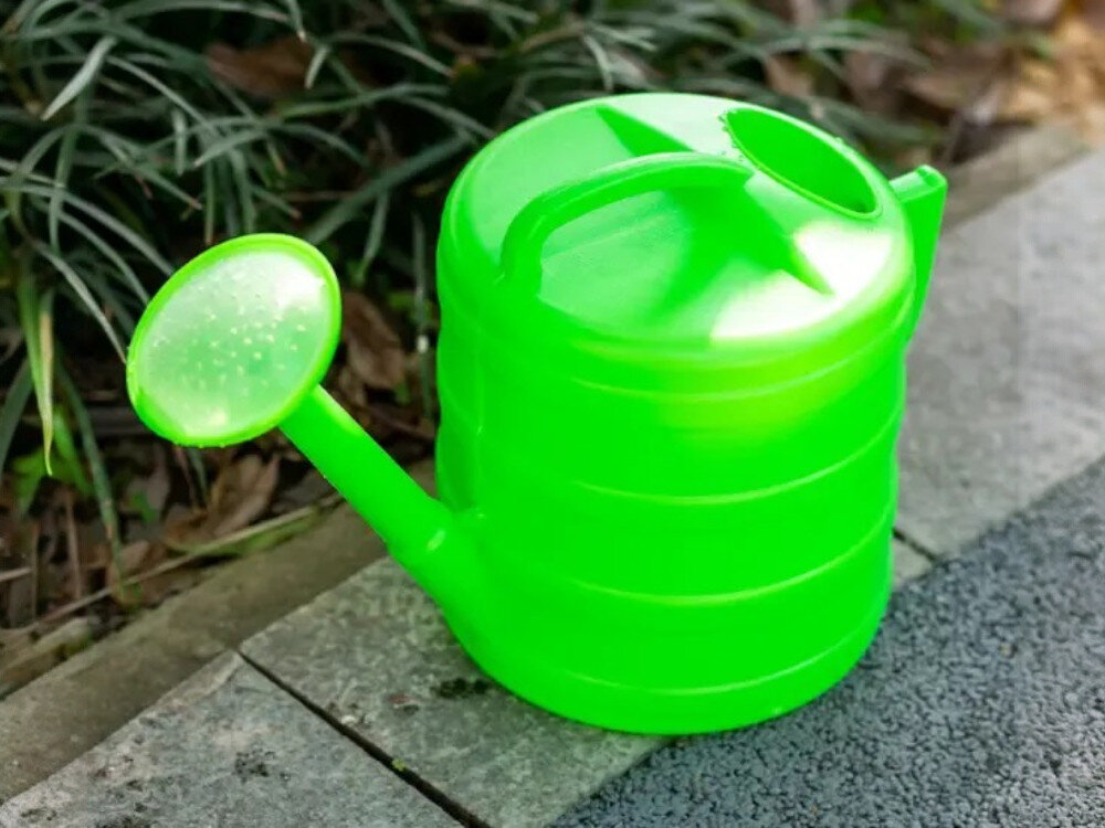 Konewka BLACK FOREST 1599 Zielona 7L, sitko, rozproszenie, korzenie, delikatność, Zielona plastikowa konewka 5L obok roślin.