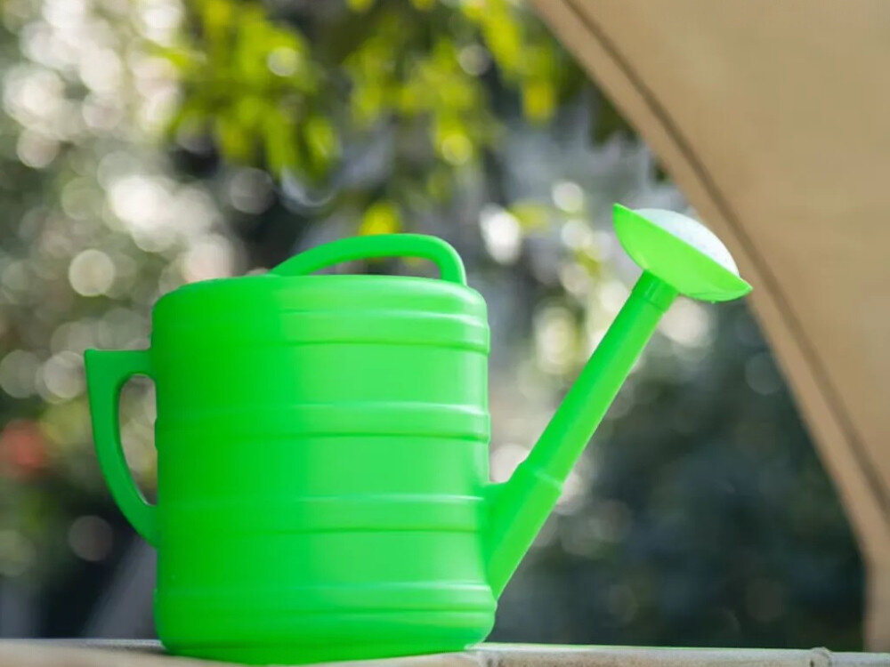 Konewka BLACK FOREST 1599 Zielona 7L, UV, mróz, kolor, tworzywo, Zielona konewka na tle roślin i łuku.