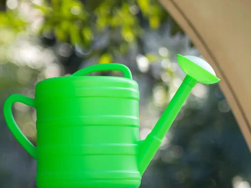 Konewka BLACK FOREST 1600 Zielony 10L, sitko, deszcz, gleba, równomierność, Zielona konewka obok traw i liści.